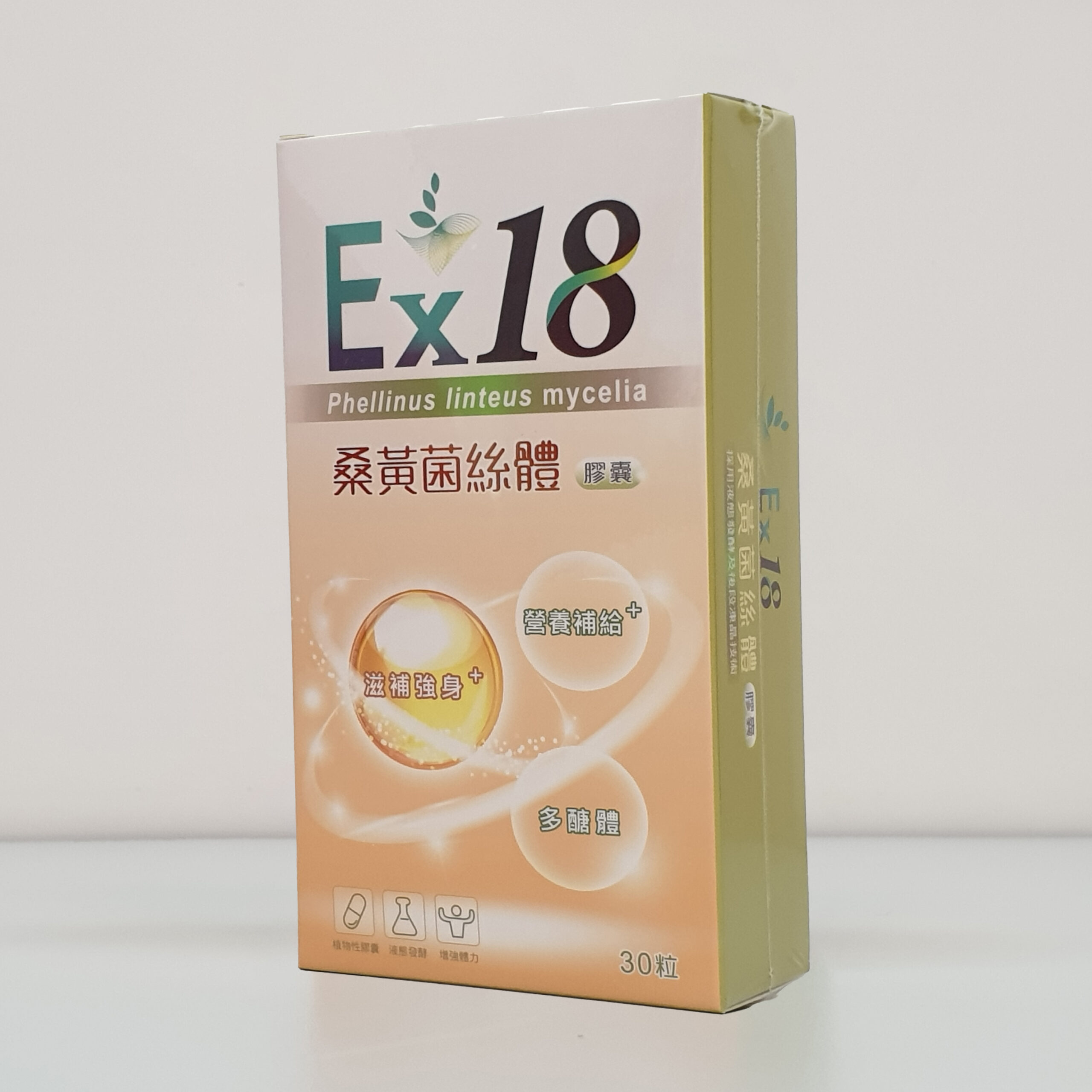 EX18 桑黄（メシマコブ）菌糸体カプセル